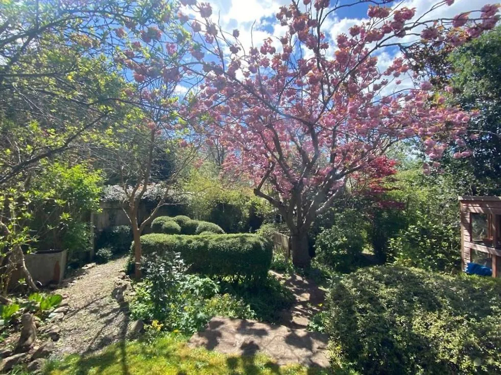 Clifton Garden Flat With Parking Apartment Bristol